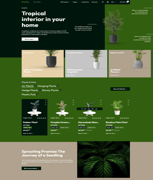 Seedling – Plantes